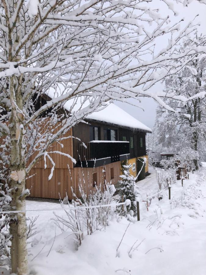 Apartment Stillleben Luxus Fuer Die Seele Abtenau Eksteriør billede